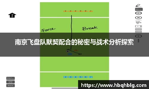 南京飞盘队默契配合的秘密与战术分析探索